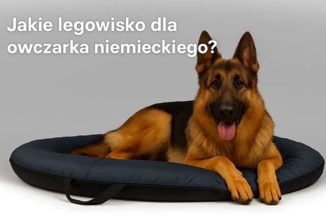 Jakie legowisko dla owczarka niemieckiego zapewni mu komfort i zdrowie Jakie legowisko dla owczarka niemieckiego zapewni mu komfort i zdrowie