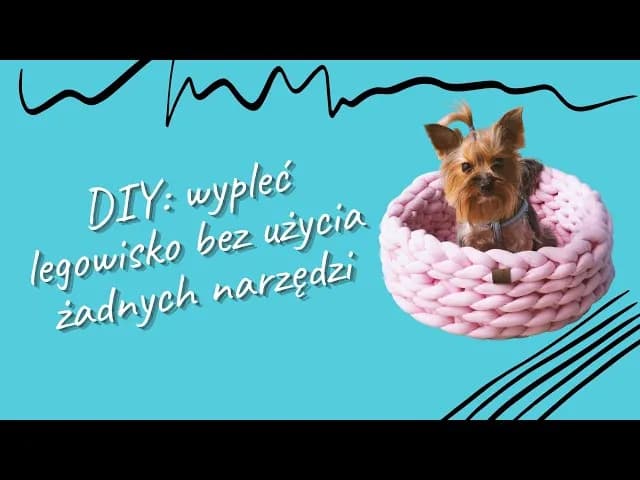 Jak zrobić legowisko dla psa z koca - proste i tanie rozwiązanie Jak zrobić legowisko dla psa z koca - proste i tanie rozwiązanie